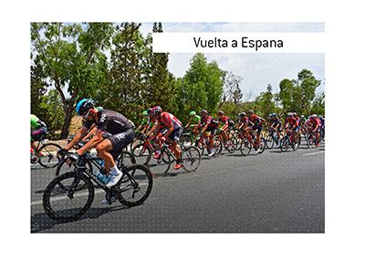 vuelta espana betting|Bets on the Tour of Spain .